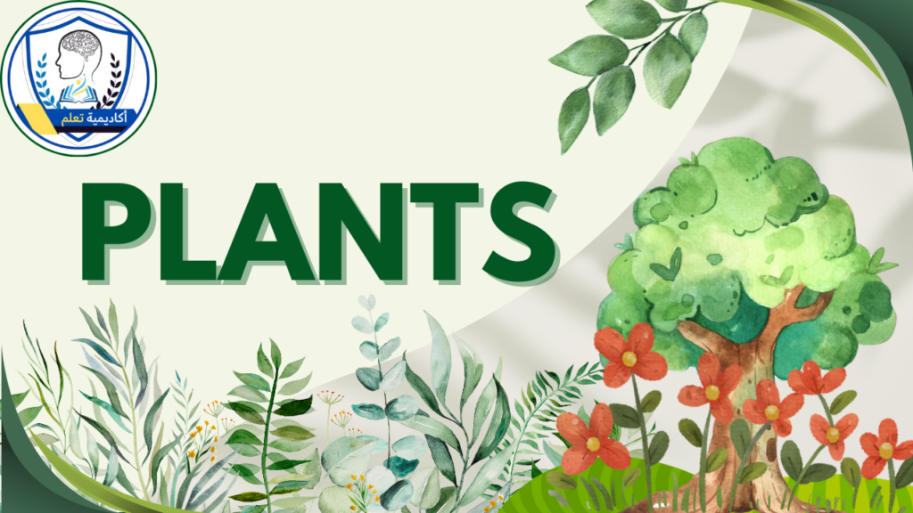 learn Plants for grade